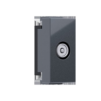 ^ MODYS ΑΝΤΑΠΤΟΡΑΣ ΤΗΛΕΟΡΑΣΗΣ TV-R ΑΡΣΕΝΙΚΟΣ 1 ΣΤ. ΑΝΘΡΑΚΙ IP20