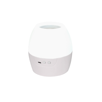 2 IN 1 8W LED NIGHT LIGHT & PROJECTOR WITH 4 PATTERNS AND 1M USB CABLE OR 3XAA