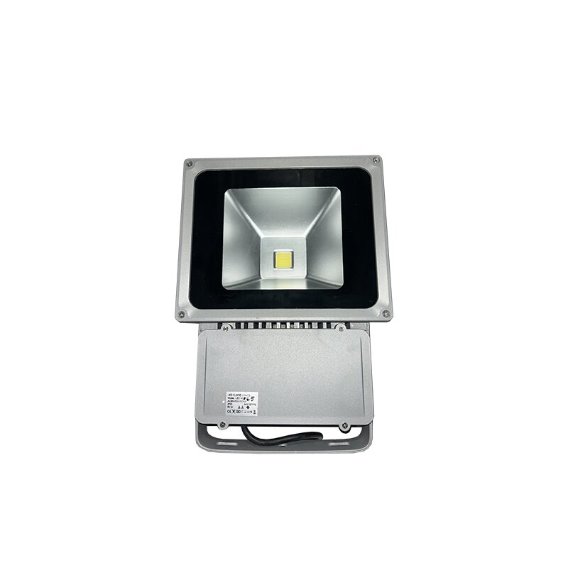 ΠΡΟΒΟΛΕΑΣ LED 80W 2700K