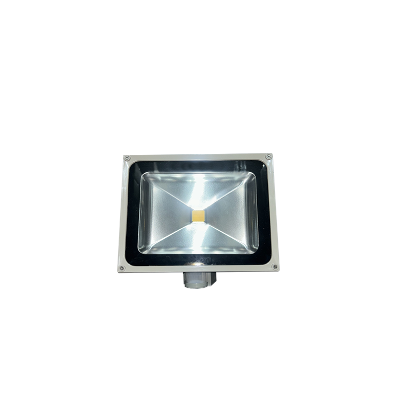 30W LED ΠΡΟΒΟΛΕΑΣ ΜΕ ΦΩΤΟΚΥΤΤΑΡΟ 2700K 2250Lm 230V