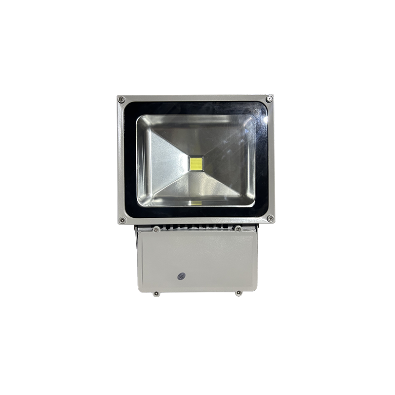 ΠΡΟΒΟΛΕΑΣ LED 60W 6500K