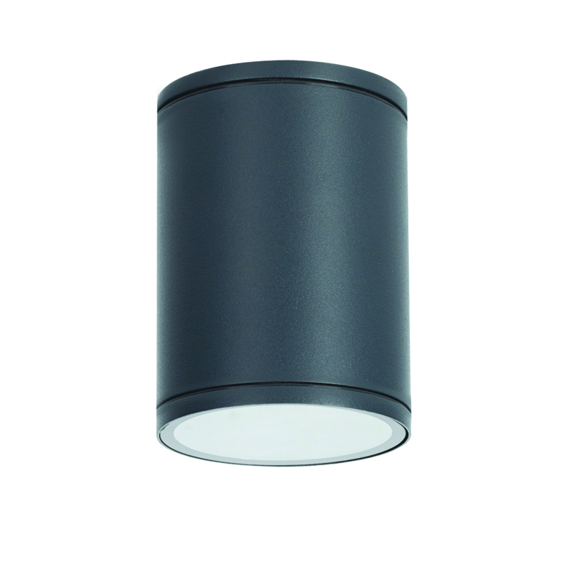 ^E27 PAR30  ROUND CEILING LUMINAIRE 230V AC DARK GREY IP65 MAX.35W
