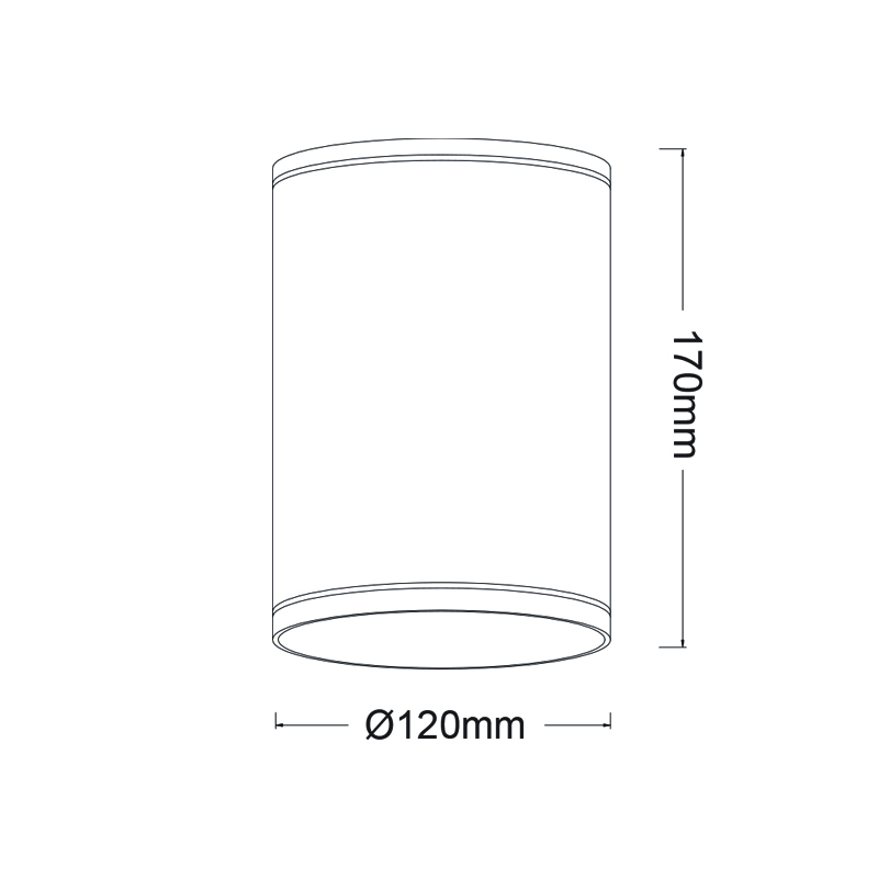 ^E27 PAR30  ROUND CEILING LUMINAIRE 230V AC GOLDEN BLACK IP65 MAX.35W