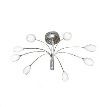 NETTO ΟΚΤΑΦΩΤΟ ΡΟΖΕΤΑ ΝΤΙΖΕΣ ΛΟΥΛΟΥΔΙ