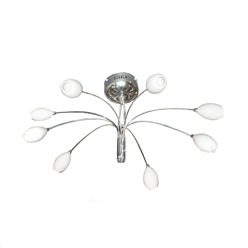 NETTO ΟΚΤΑΦΩΤΟ ΡΟΖΕΤΑ ΝΤΙΖΕΣ ΛΟΥΛΟΥΔΙ NETTO ΟΚΤΑΦΩΤΟ ΡΟΖΕΤΑ ΝΤΙΖΕΣ ΛΟΥΛΟΥΔΙ