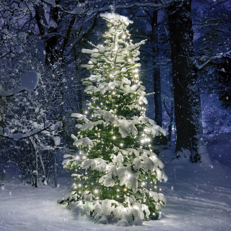 ^ 350 LED ΧΤΑΠΟΔΙ ΛΑΜΠ 10 ΣΕΙΡΕΣ x 35 ΛΑΜΠ WW ΑΝΤΑΠΤ (31VDC) IP44 10*350cm & 3m ΠΡΑΣ ΚΑΛΩΔ