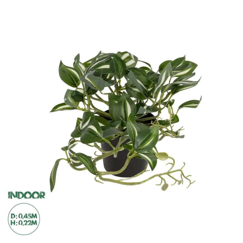 GloboStar® Artificial Garden ZEBRINA PLANT 20960 Διακοσμητικό Φυτό Ζεμπρίνα Φ45 x Υ22cm GloboStar® Artificial Garden ZEBRINA PLANT 20960 Διακοσμητικό Φυτό Ζεμπρίνα Φ45 x Υ22cm