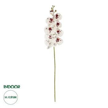GloboStar® Artificial Garden WHITE ORCHID BRANCH 21406 Τεχνητό Διακοσμητικό Κλαδί Λευκή Ορχιδέα Y95cm GloboStar® Artificial Garden WHITE ORCHID BRANCH 21406 Τεχνητό Διακοσμητικό Κλαδί Λευκή Ορχιδέα Y95cm