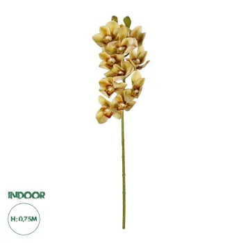 GloboStar® Artificial Garden CHAMPAGNE CYMBIDIUM BRANCH 21408 Τεχνητό Διακοσμητικό Κλαδί Σαμπανί Κυμβίδιο  Y75cm GloboStar® Artificial Garden CHAMPAGNE CYMBIDIUM BRANCH 21408 Τεχνητό Διακοσμητικό Κλαδί Σαμπανί Κυμβίδιο  Y75cm