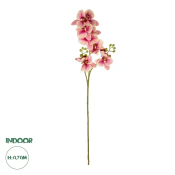 GloboStar® Artificial Garden CHAMPAGNE PINK ORCHID  BRANCH 21411 Τεχνητό Διακοσμητικό Κλαδί Σαμπανί Ορχιδέα Y70cm GloboStar® Artificial Garden CHAMPAGNE PINK ORCHID  BRANCH 21411 Τεχνητό Διακοσμητικό Κλαδί Σαμπανί Ορχιδέα Y70cm
