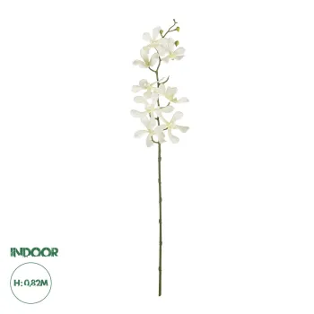 GloboStar® Artificial Garden WHITE VANDA ORCHID BRANCH 21409 Τεχνητό Διακοσμητικό Κλαδί Λευκή Ορχιδέα Y82cm GloboStar® Artificial Garden WHITE VANDA ORCHID BRANCH 21409 Τεχνητό Διακοσμητικό Κλαδί Λευκή Ορχιδέα Y82cm