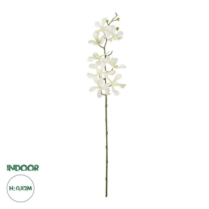 GloboStar® Artificial Garden WHITE VANDA ORCHID BRANCH 21409 Τεχνητό Διακοσμητικό Κλαδί Λευκή Ορχιδέα Y82cm GloboStar® Artificial Garden WHITE VANDA ORCHID BRANCH 21409 Τεχνητό Διακοσμητικό Κλαδί Λευκή Ορχιδέα Y82cm