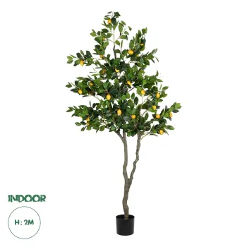 GloboStar® Artificial Garden LEMON TREE 21106 Τεχνητό Διακοσμητικό Δέντρο Λεμονιά Υ200cm GloboStar® Artificial Garden LEMON TREE 21106 Τεχνητό Διακοσμητικό Δέντρο Λεμονιά Υ200cm
