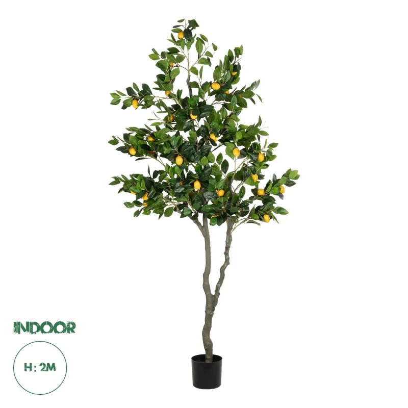 GloboStar® Artificial Garden LEMON TREE 21106 Τεχνητό Διακοσμητικό Δέντρο Λεμονιά Υ200cm GloboStar® Artificial Garden LEMON TREE 21106 Τεχνητό Διακοσμητικό Δέντρο Λεμονιά Υ200cm