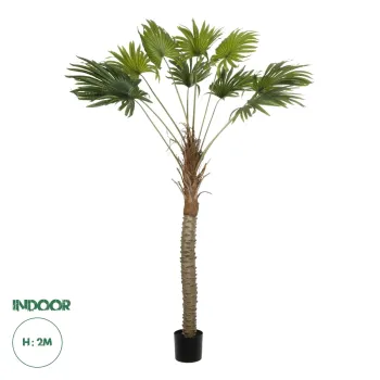 GloboStar® Artificial Garden WASHINGTONIA FILIFERA TREE 21107 Τεχνητό Διακοσμητικό Φοινικόδεντρου Υ200cm GloboStar® Artificial Garden WASHINGTONIA FILIFERA TREE 21107 Τεχνητό Διακοσμητικό Φοινικόδεντρου Υ200cm