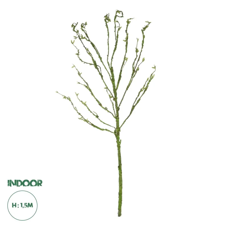 GloboStar® Artificial Garden BIG SPROUT BLOSSOM BRANCH 21461 Τεχνητό Διακοσμητικό Κλαδί Πράσινο Λάχανο Y150cm GloboStar® Artificial Garden BIG SPROUT BLOSSOM BRANCH 21461 Τεχνητό Διακοσμητικό Κλαδί Πράσινο Λάχανο Y150cm