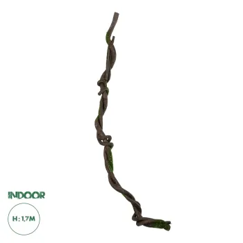 GloboStar® Artificial Garden VINE BRANCH 21465 Τεχνητό Διακοσμητικό Κλαδί Αμπελιού Y170cm GloboStar® Artificial Garden VINE BRANCH 21465 Τεχνητό Διακοσμητικό Κλαδί Αμπελιού Y170cm