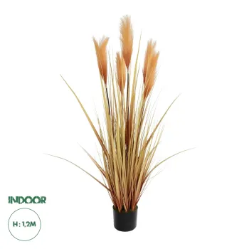 GloboStar® Artificial Garden PAMPAS GRASS 21475 Τεχνητό Διακοσμητικό Φυτό Παμπας Υ120cm GloboStar® Artificial Garden PAMPAS GRASS 21475 Τεχνητό Διακοσμητικό Φυτό Παμπας Υ120cm