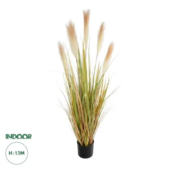 GloboStar® Artificial Garden PAMPAS GRASS 21477 Τεχνητό Διακοσμητικό Φυτό Παμπας Υ120cm GloboStar® Artificial Garden PAMPAS GRASS 21477 Τεχνητό Διακοσμητικό Φυτό Παμπας Υ120cm