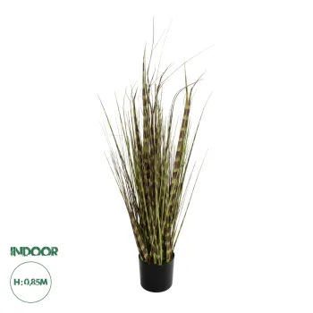 GloboStar® Artificial Garden ZEBRA GRASS 21482 Τεχνητό Διακοσμητικό Φυτό Ζέμπρα  Υ85cm GloboStar® Artificial Garden ZEBRA GRASS 21482 Τεχνητό Διακοσμητικό Φυτό Ζέμπρα  Υ85cm
