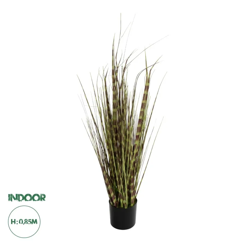 GloboStar® Artificial Garden ZEBRA GRASS 21482 Τεχνητό Διακοσμητικό Φυτό Ζέμπρα  Υ85cm GloboStar® Artificial Garden ZEBRA GRASS 21482 Τεχνητό Διακοσμητικό Φυτό Ζέμπρα  Υ85cm
