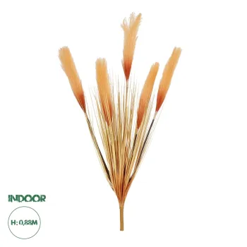 GloboStar® Artificial Garden ORANGE PAMPAS GRASS BRANCH 21486 Τεχνητό Διακοσμητικό Κλαδί Πορτοκαλί Πάμπας Y88cm GloboStar® Artificial Garden ORANGE PAMPAS GRASS BRANCH 21486 Τεχνητό Διακοσμητικό Κλαδί Πορτοκαλί Πάμπας Y88cm
