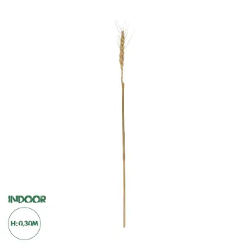 GloboStar® Artificial Garden REAL DRIED WHEAT GRASS 21488 Τεχνητό Διακοσμητικό Κλαδί Σιταριού Y30cm GloboStar® Artificial Garden REAL DRIED WHEAT GRASS 21488 Τεχνητό Διακοσμητικό Κλαδί Σιταριού Y30cm