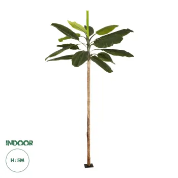 GloboStar® Artificial Garden BANANA TREE 21502 Τεχνητό Διακοσμητικό Δέντρο Μπανανιάς Υ500cm GloboStar® Artificial Garden BANANA TREE 21502 Τεχνητό Διακοσμητικό Δέντρο Μπανανιάς Υ500cm