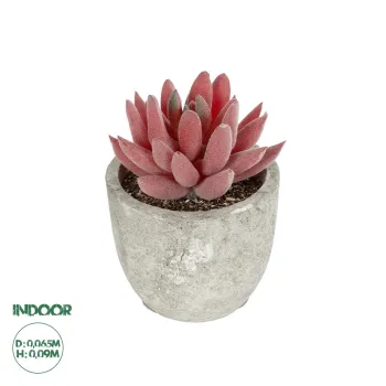GloboStar® Artificial Garden SUCCULENT SEDEVERIA 21020 Τεχνητό Διακοσμητικό Φυτό Σεδεβέρια Μ6.5 x Π6.5 x Υ9cm