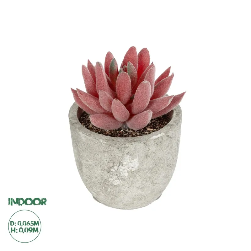 GloboStar® Artificial Garden SUCCULENT SEDEVERIA 21020 Τεχνητό Διακοσμητικό Φυτό Σεδεβέρια Μ6.5 x Π6.5 x Υ9cm