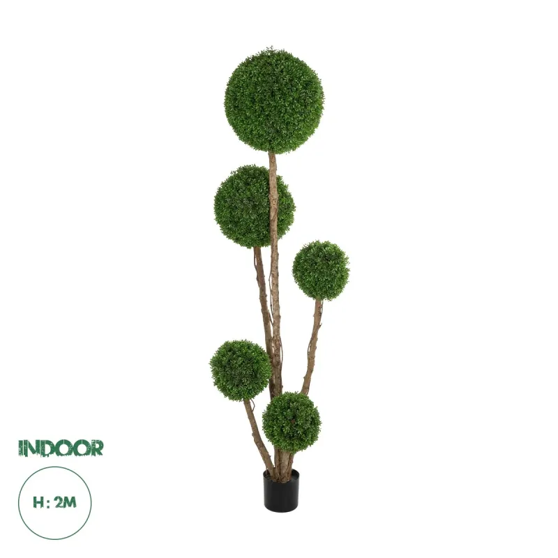 GloboStar® Artificial Garden BUXUS TREE 21111 Τεχνητό Διακοσμητικό Δέντρο Buxus Μ65 x Π60 x Υ200cm GloboStar® Artificial Garden BUXUS TREE 21111 Τεχνητό Διακοσμητικό Δέντρο Buxus Μ65 x Π60 x Υ200cm