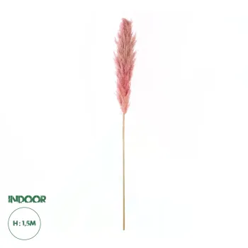 GloboStar® Artificial Garden PAMPAS GRASS 21218 Αποξηραμένο Διακοσμητικό Γρασίδι Πάμπας Μ10 x Π10 x Υ150cm GloboStar® Artificial Garden PAMPAS GRASS 21218 Αποξηραμένο Διακοσμητικό Γρασίδι Πάμπας Μ10 x Π10 x Υ150cm
