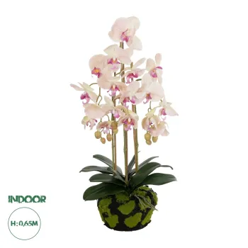 GloboStar® Artificial Garden BUTTERFLY ORCHID BONSAI 21400 Τεχνητό Διακοσμητικό Φυτό Ορχιδέα Μ34 x Π27 x Υ65cm GloboStar® Artificial Garden BUTTERFLY ORCHID BONSAI 21400 Τεχνητό Διακοσμητικό Φυτό Ορχιδέα Μ34 x Π27 x Υ65cm