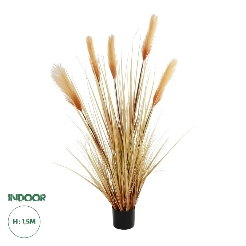 GloboStar® Artificial Garden PAMPAS GRASS 21476 Τεχνητό Διακοσμητικό Φυτό Μπεζ Πάμπας Μ90 x Π40 x Υ150cm GloboStar® Artificial Garden PAMPAS GRASS 21476 Τεχνητό Διακοσμητικό Φυτό Μπεζ Πάμπας Μ90 x Π40 x Υ150cm