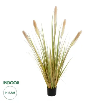 GloboStar® Artificial Garden PAMPAS GRASS 21478 Τεχνητό Διακοσμητικό Φυτό Μπεζ & Πράσινο Πάμπας Μ90 x Π40 x Υ150cm GloboStar® Artificial Garden PAMPAS GRASS 21478 Τεχνητό Διακοσμητικό Φυτό Μπεζ & Πράσινο Πάμπας Μ90 x Π40 x Υ150cm
