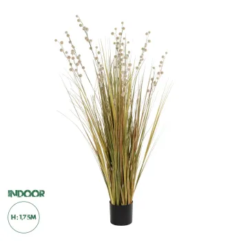 GloboStar® Artificial Garden CRASPEDIA GRASS 21480 Τεχνητό Διακοσμητικό Φυτό Μπεζ & Πράσινο Κρασπέδια Μ90 x Π60 x Υ175cm
