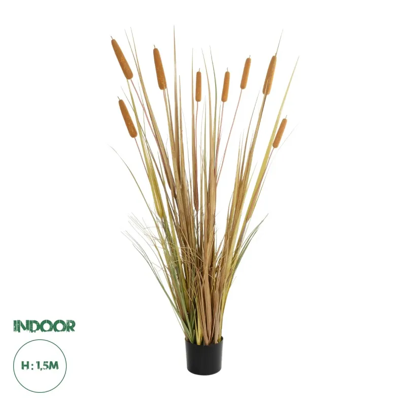 GloboStar® Artificial Garden TYPHA GRASS 21483 Τεχνητό Διακοσμητικό Φυτό Γρασίδι της Τύφας Μ70 x Π40 x Υ150cm GloboStar® Artificial Garden TYPHA GRASS 21483 Τεχνητό Διακοσμητικό Φυτό Γρασίδι της Τύφας Μ70 x Π40 x Υ150cm