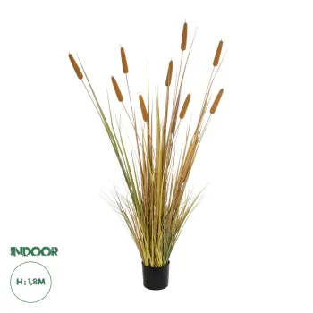 GloboStar® Artificial Garden TYPHA GRASS 21484 Τεχνητό Διακοσμητικό Φυτό Γρασίδι της Τύφας Μ100 x Π35 x Υ180cm GloboStar® Artificial Garden TYPHA GRASS 21484 Τεχνητό Διακοσμητικό Φυτό Γρασίδι της Τύφας Μ100 x Π35 x Υ180cm
