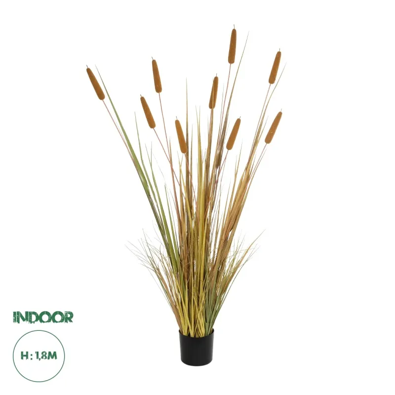GloboStar® Artificial Garden TYPHA GRASS 21484 Τεχνητό Διακοσμητικό Φυτό Γρασίδι της Τύφας Μ100 x Π35 x Υ180cm GloboStar® Artificial Garden TYPHA GRASS 21484 Τεχνητό Διακοσμητικό Φυτό Γρασίδι της Τύφας Μ100 x Π35 x Υ180cm