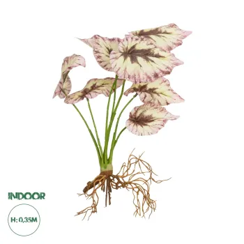 GloboStar® Artificial Garden BEGONIA LEAVES ROOTED 21489 Τεχνητό Διακοσμητικό Φυτό Πολύχρωμη Βιγόνια Μ25 x Π14 x Υ35cm GloboStar® Artificial Garden BEGONIA LEAVES ROOTED 21489 Τεχνητό Διακοσμητικό Φυτό Πολύχρωμη Βιγόνια Μ25 x Π14 x Υ35cm