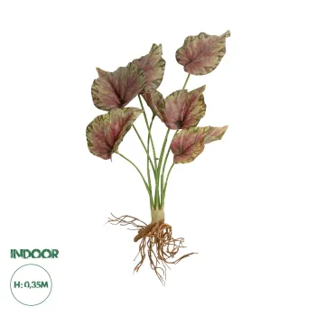 GloboStar® Artificial Garden BEGONIA LEAVES ROOTED 21490 Τεχνητό Διακοσμητικό Φυτό Πολύχρωμη Βιγόνια Μ25 x Π14 x Υ35cm GloboStar® Artificial Garden BEGONIA LEAVES ROOTED 21490 Τεχνητό Διακοσμητικό Φυτό Πολύχρωμη Βιγόνια Μ25 x Π14 x Υ35cm