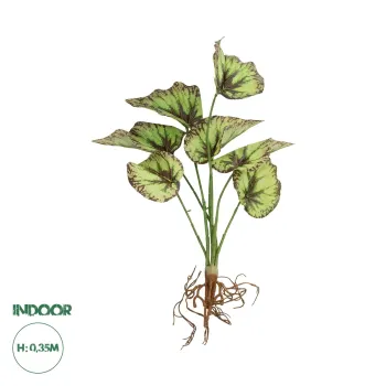 GloboStar® Artificial Garden BEGONIA LEAVES ROOTED 21491 Τεχνητό Διακοσμητικό Φυτό Πολύχρωμη Βιγόνια Μ25 x Π14 x Υ35cm GloboStar® Artificial Garden BEGONIA LEAVES ROOTED 21491 Τεχνητό Διακοσμητικό Φυτό Πολύχρωμη Βιγόνια Μ25 x Π14 x Υ35cm