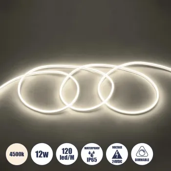 GLOBOSTAR® NEOVALE 70561 Ταινία Neon Flex LED 12W/m 960lm/m 120° DC 24V Αδιάβροχο IP65 120 x SMD2835 Chip/m Φυσικό Λευκό 4500K Dimmable - Μ100 x Π0.8 x Υ1.6cm - 3 Χρόνια Εγγύηση GLOBOSTAR® NEOVALE 70561 Ταινία Neon Flex LED 12W/m 960lm/m 120° DC 24V Αδιάβροχο IP65 120 x SMD2835 Chip/m Φυσικό Λευκό 4500K Dimmable - Μ100 x Π0.8 x Υ1.6cm - 3 Χρόνια Εγγύηση