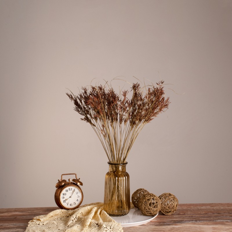 GloboStar® CYPERUS 36500 Αποξηραμένο Φυτό Κύπειρος - Μπουκέτο Διακοσμητικών Κλαδιών Μπεζ - Καφέ Υ60cm - Σετ 50 τμχ GloboStar® CYPERUS 36500 Αποξηραμένο Φυτό Κύπειρος - Μπουκέτο Διακοσμητικών Κλαδιών Μπεζ - Καφέ Υ60cm - Σετ 50 τμχ