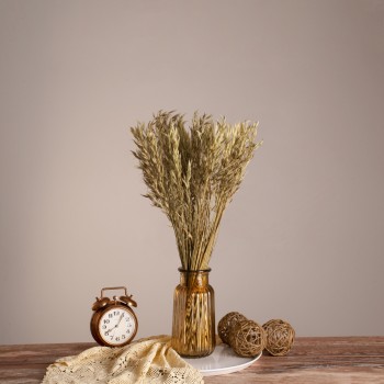 GloboStar® WILDOAT 36501 Αποξηραμένο Φυτό Αγριοβρώμη - Μπουκέτο Διακοσμητικών Κλαδιών Μπεζ - Πράσινο Υ60cm - Σετ 100 τμχ