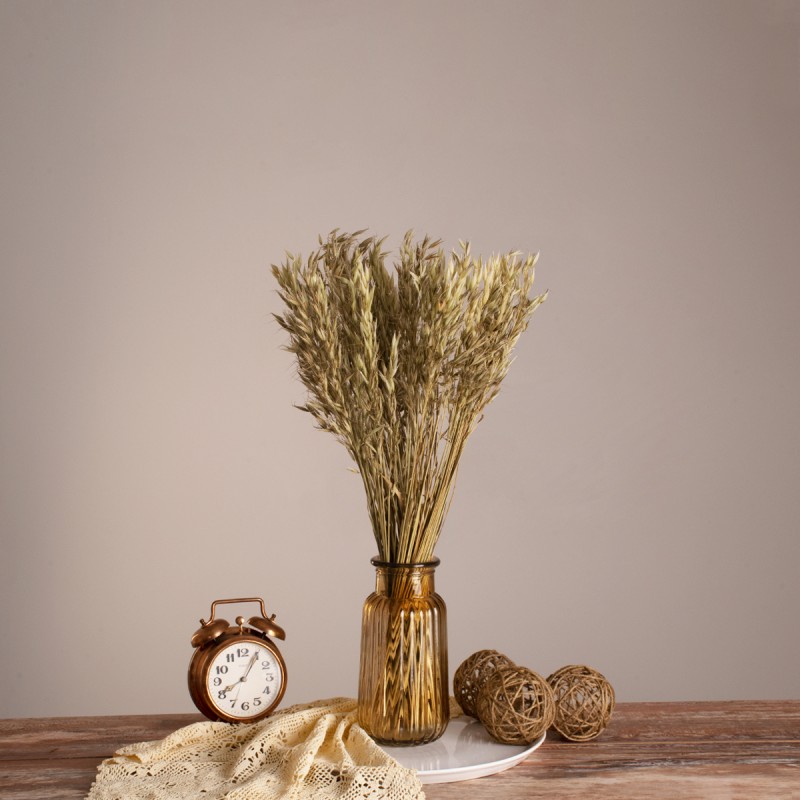 GloboStar® WILDOAT 36501 Αποξηραμένο Φυτό Αγριοβρώμη - Μπουκέτο Διακοσμητικών Κλαδιών Μπεζ - Πράσινο Υ60cm - Σετ 100 τμχ GloboStar® WILDOAT 36501 Αποξηραμένο Φυτό Αγριοβρώμη - Μπουκέτο Διακοσμητικών Κλαδιών Μπεζ - Πράσινο Υ60cm - Σετ 100 τμχ