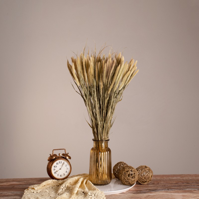 GloboStar® PENNISETUM 36503 Αποξηραμένο Φυτό Πεννήσιο - Μπουκέτο Διακοσμητικών Κλαδιών Μπεζ - Πράσινο Υ60cm - Σετ 100 τμχ GloboStar® PENNISETUM 36503 Αποξηραμένο Φυτό Πεννήσιο - Μπουκέτο Διακοσμητικών Κλαδιών Μπεζ - Πράσινο Υ60cm - Σετ 100 τμχ