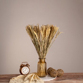 GloboStar® ERICAGRASS 36504 Αποξηραμένο Φυτό Έρρικα - Μπουκέτο Διακοσμητικών Κλαδιών Μπεζ - Πράσινο Υ60cm - Σετ 100 τμχ GloboStar® ERICAGRASS 36504 Αποξηραμένο Φυτό Έρρικα - Μπουκέτο Διακοσμητικών Κλαδιών Μπεζ - Πράσινο Υ60cm - Σετ 100 τμχ