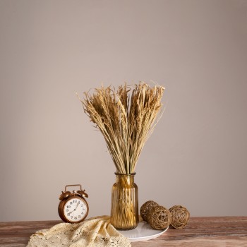 GloboStar® RISEGRASS 36505 Αποξηραμένο Φυτό Ρύζι - Μπουκέτο Διακοσμητικών Κλαδιών Μπεζ Υ60cm - Σετ 105 τμχ GloboStar® RISEGRASS 36505 Αποξηραμένο Φυτό Ρύζι - Μπουκέτο Διακοσμητικών Κλαδιών Μπεζ Υ60cm - Σετ 105 τμχ