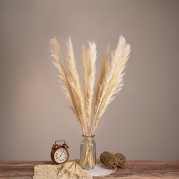 GLOBOSTAR® PAMPASGRASS 36507 Αποξηραμένο Διακοσμητικό Μπουκέτο Γρασίδι της Πάμπας - Μπεζ - Μ20 x Π20 x Υ80cm - Πακέτο 10 Τεμαχίων GLOBOSTAR® PAMPASGRASS 36507 Αποξηραμένο Διακοσμητικό Μπουκέτο Γρασίδι της Πάμπας - Μπεζ - Μ20 x Π20 x Υ80cm - Πακέτο 10 Τεμαχίων